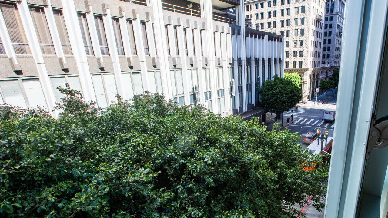 Photo of Others in Financial District