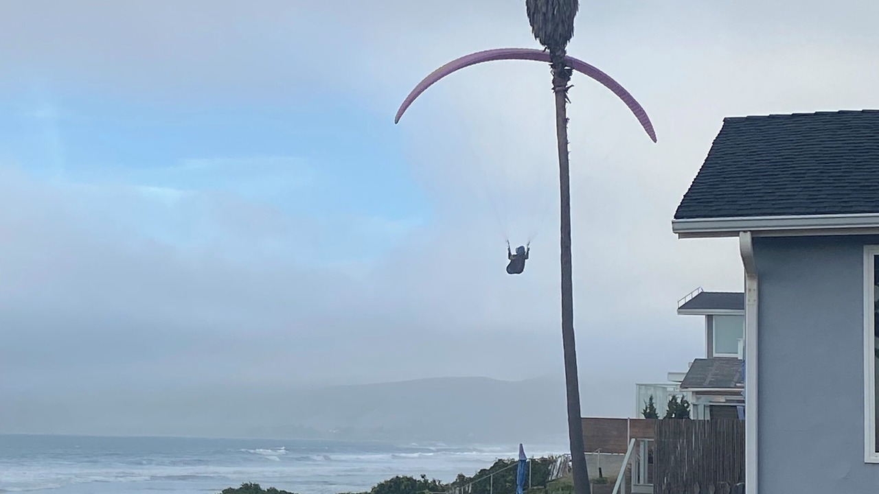 Photo of Others in Cayucos