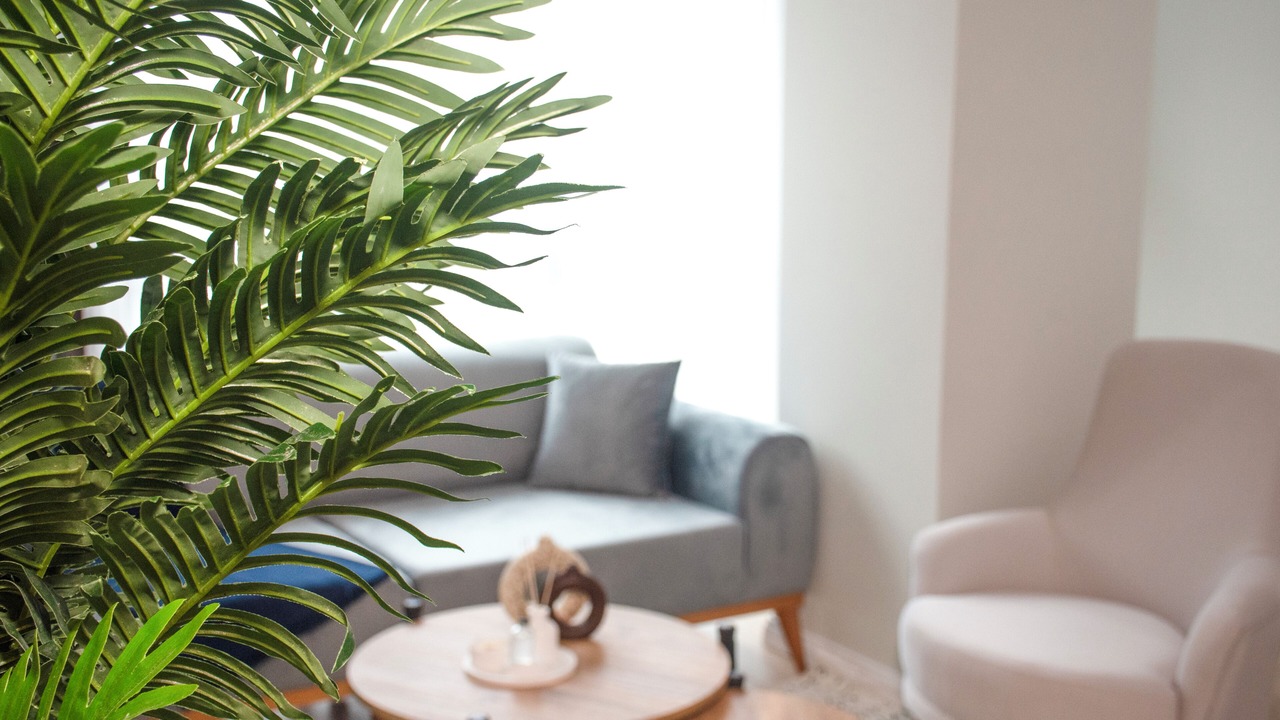 Photo of Livingroom in Kagithane
