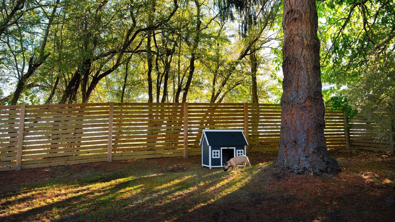 Photo of Outdoor in Daylesford