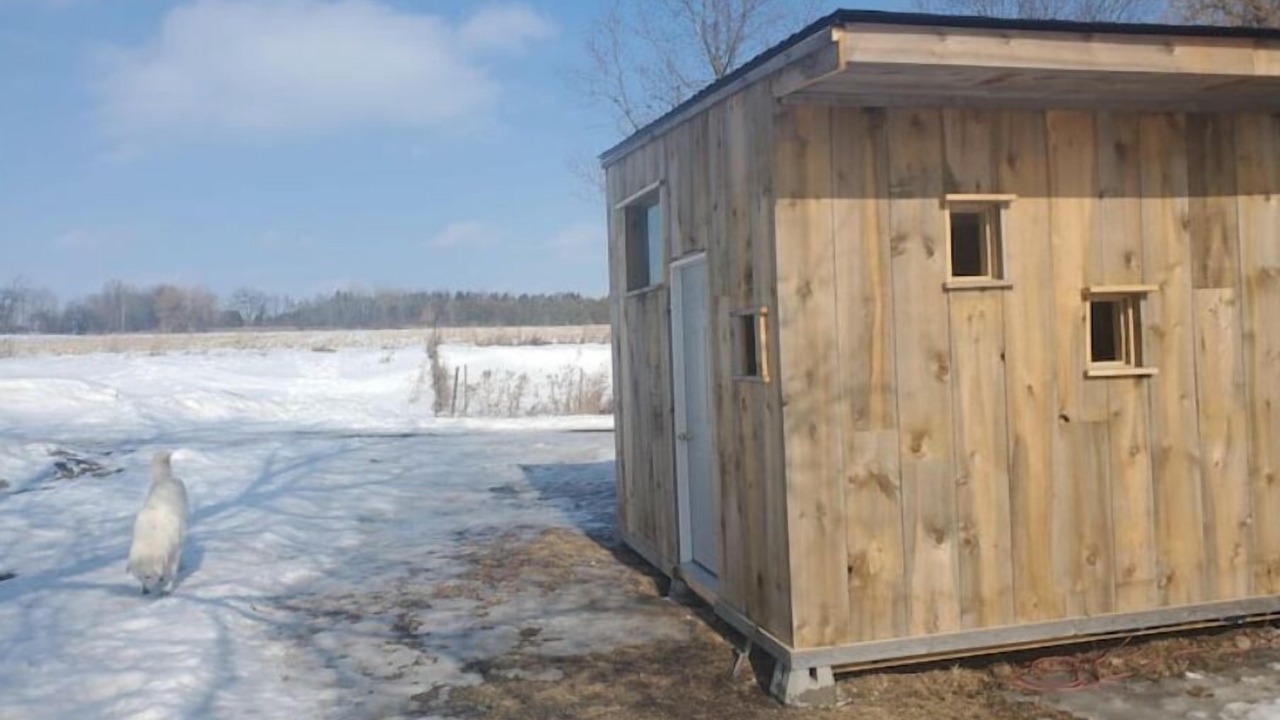 Photo of Outdoor in Erin