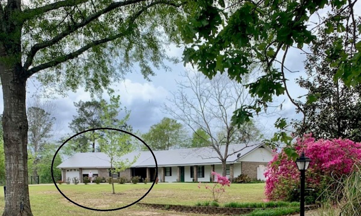 Photo of Others in Stone County