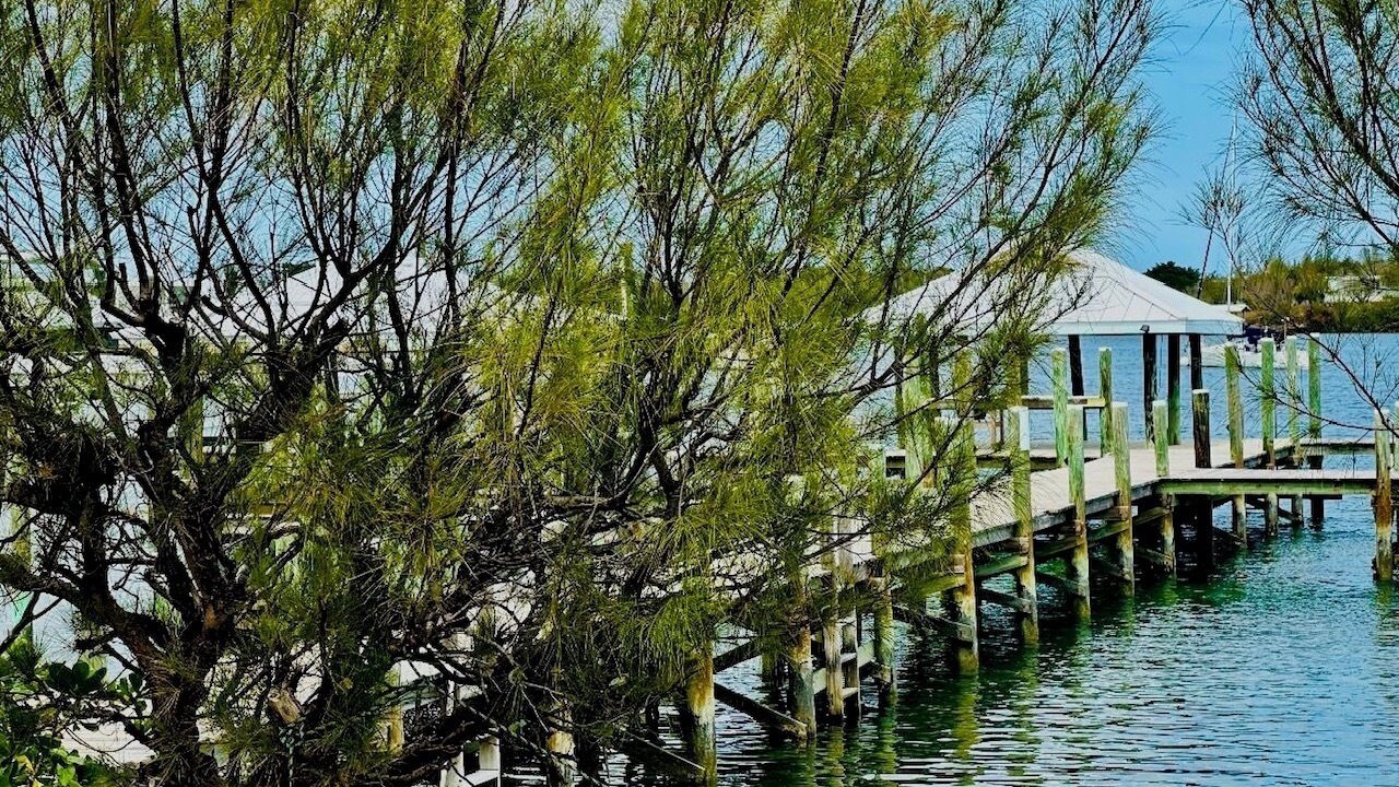 Photo of Others in Green Turtle Cay