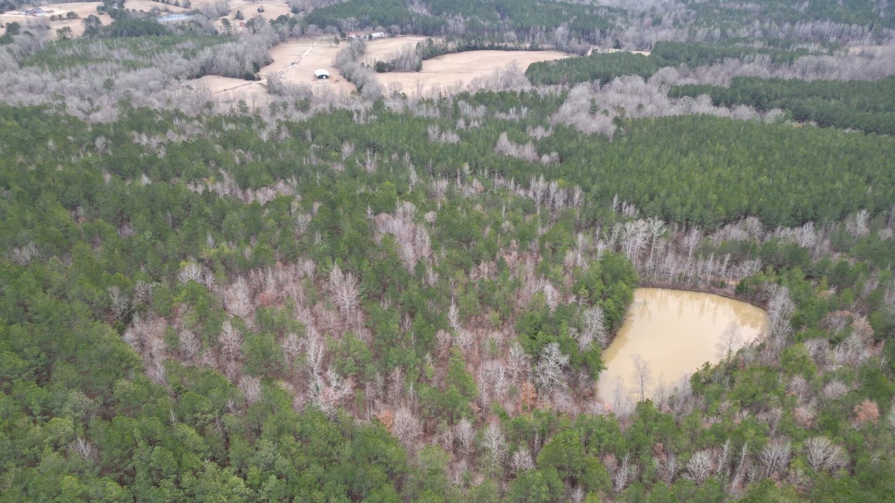 Photo of Outdoor in New Site