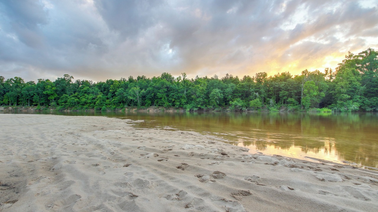 Photo of Others in Santa Rosa County