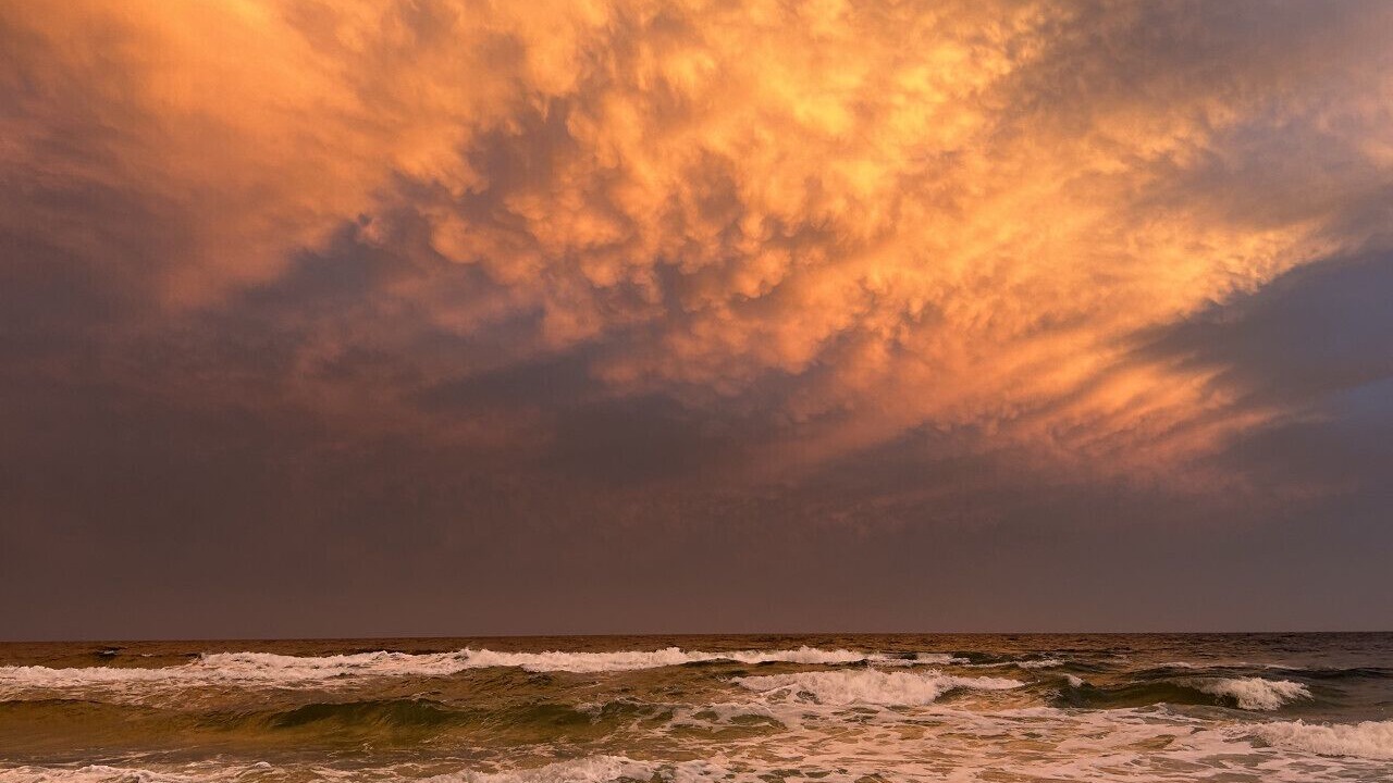Photo of Others in Pensacola