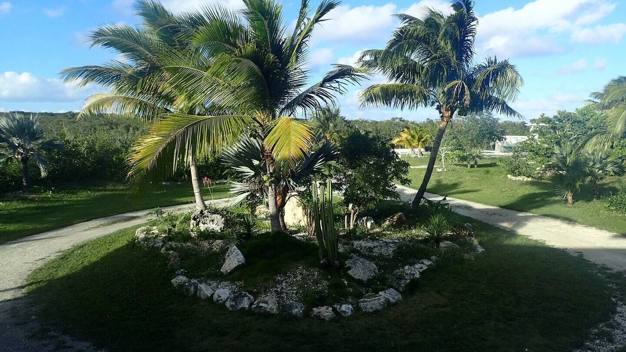 Photo of Outdoor in Long Island