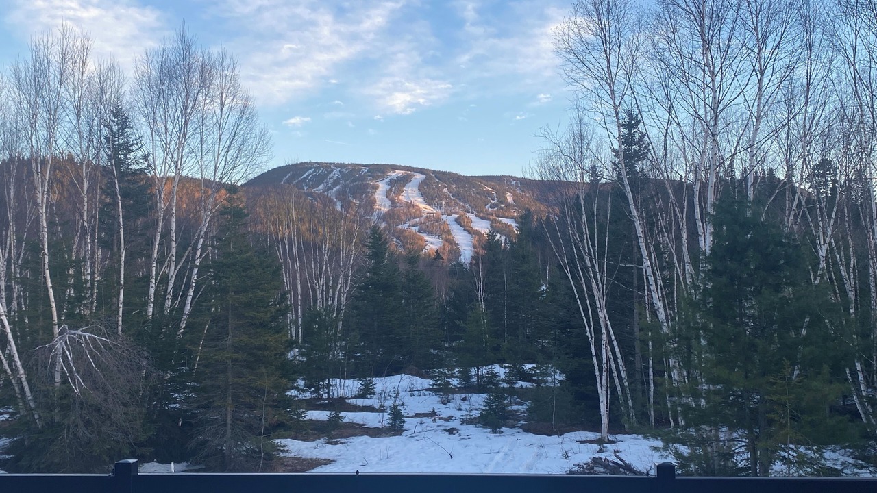 Photo of Outdoor in L'Anse-Saint-Jean