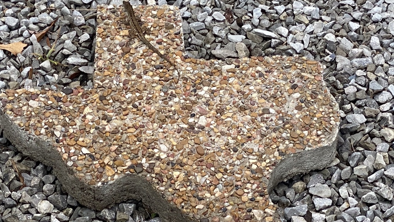 Photo of Others in Florida Panhandle
