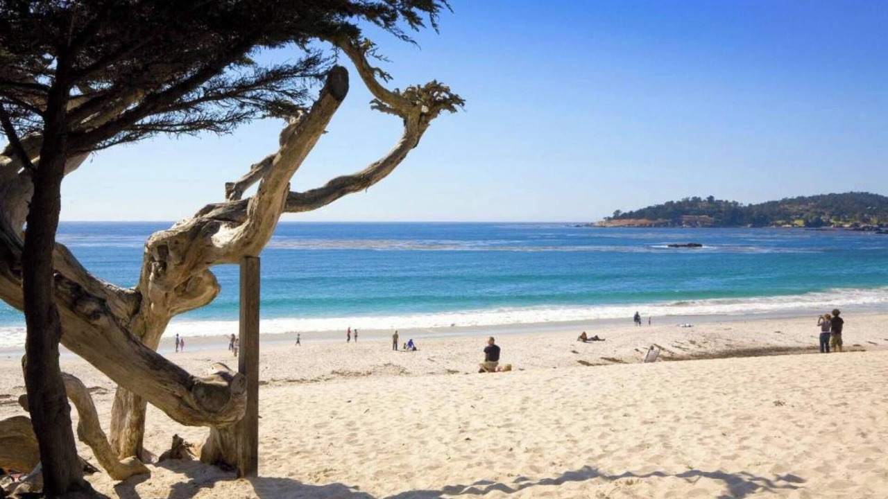 Photo of Others in Carmel Highlands