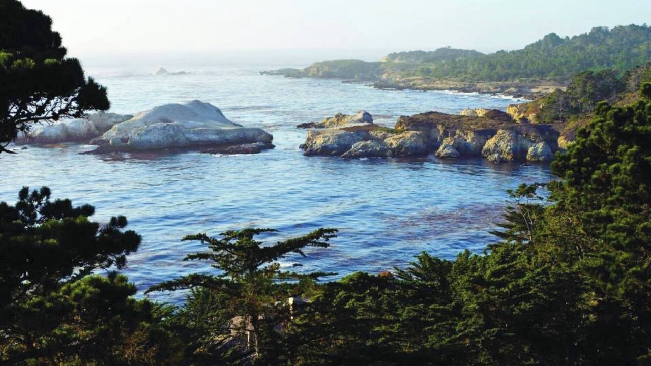 Photo of Others in Carmel Highlands