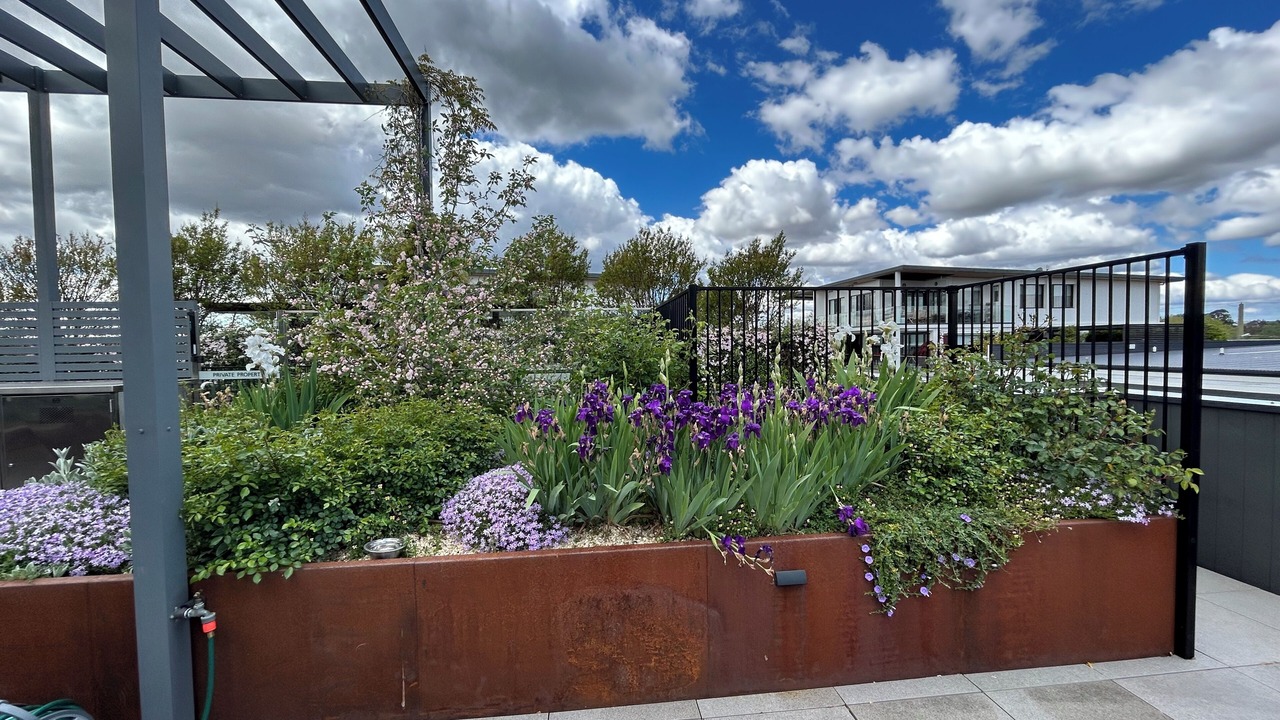 Photo of Outdoor in Kingston