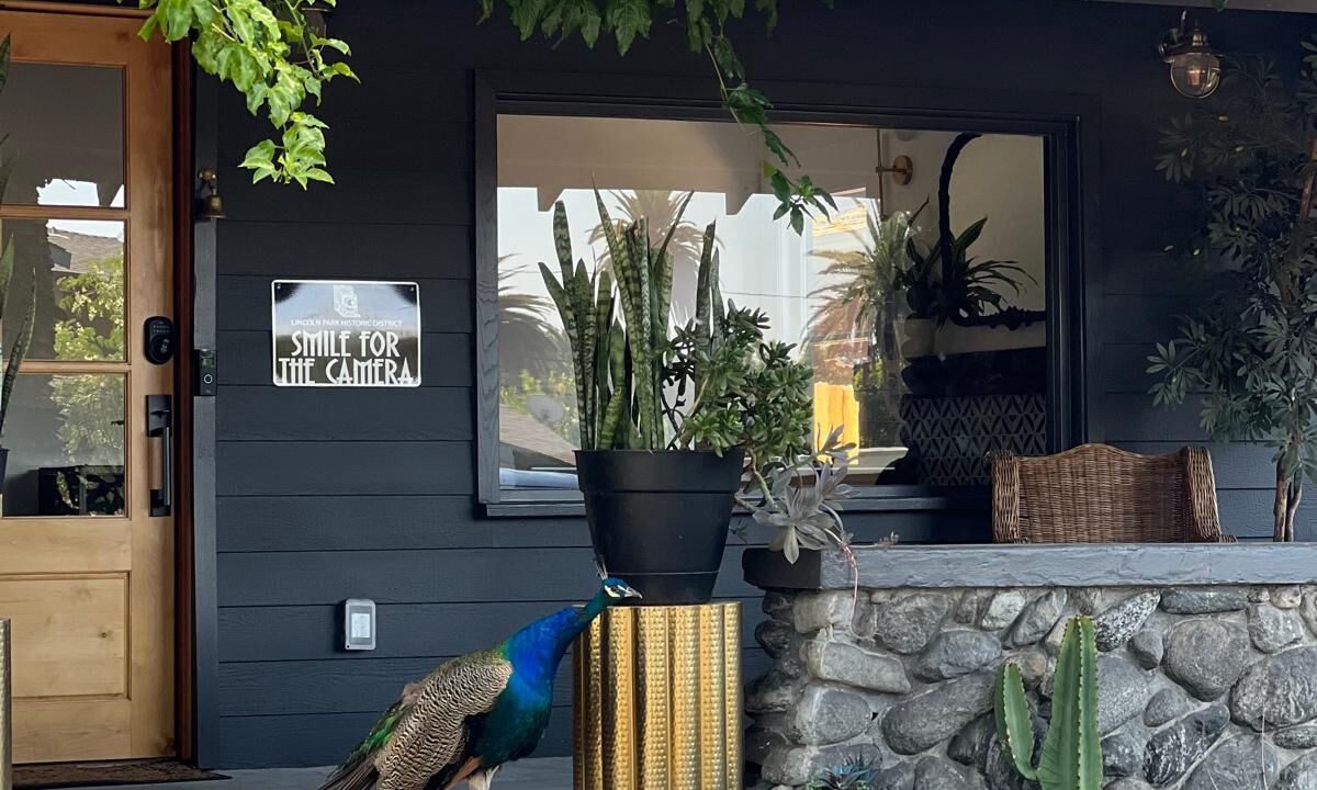 Photo of Outdoor in Westmont