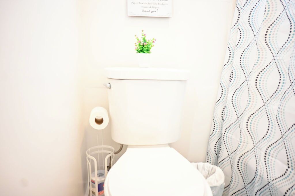 Photo of Bathroom in Rock Sound