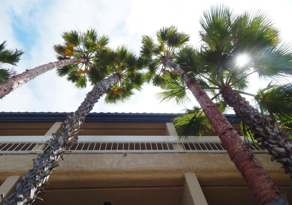 Photo of Outdoor in Old Towne
