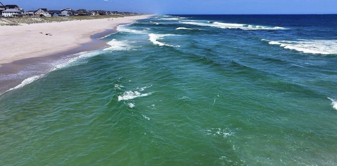 Photo of Others in Normandy Beach