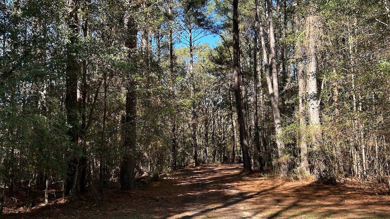 Photo of Others in Harperville