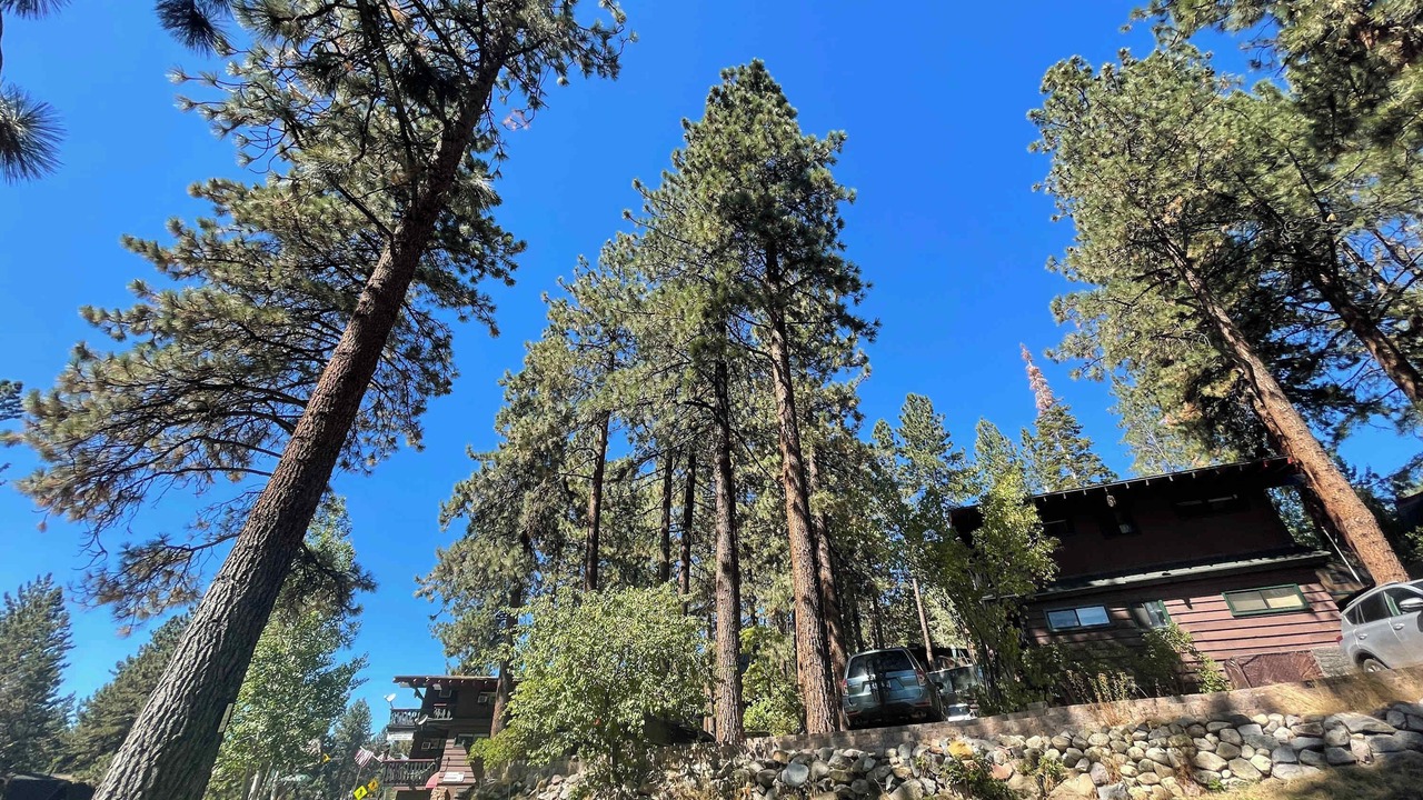 Photo of Outdoor in Zephyr Cove