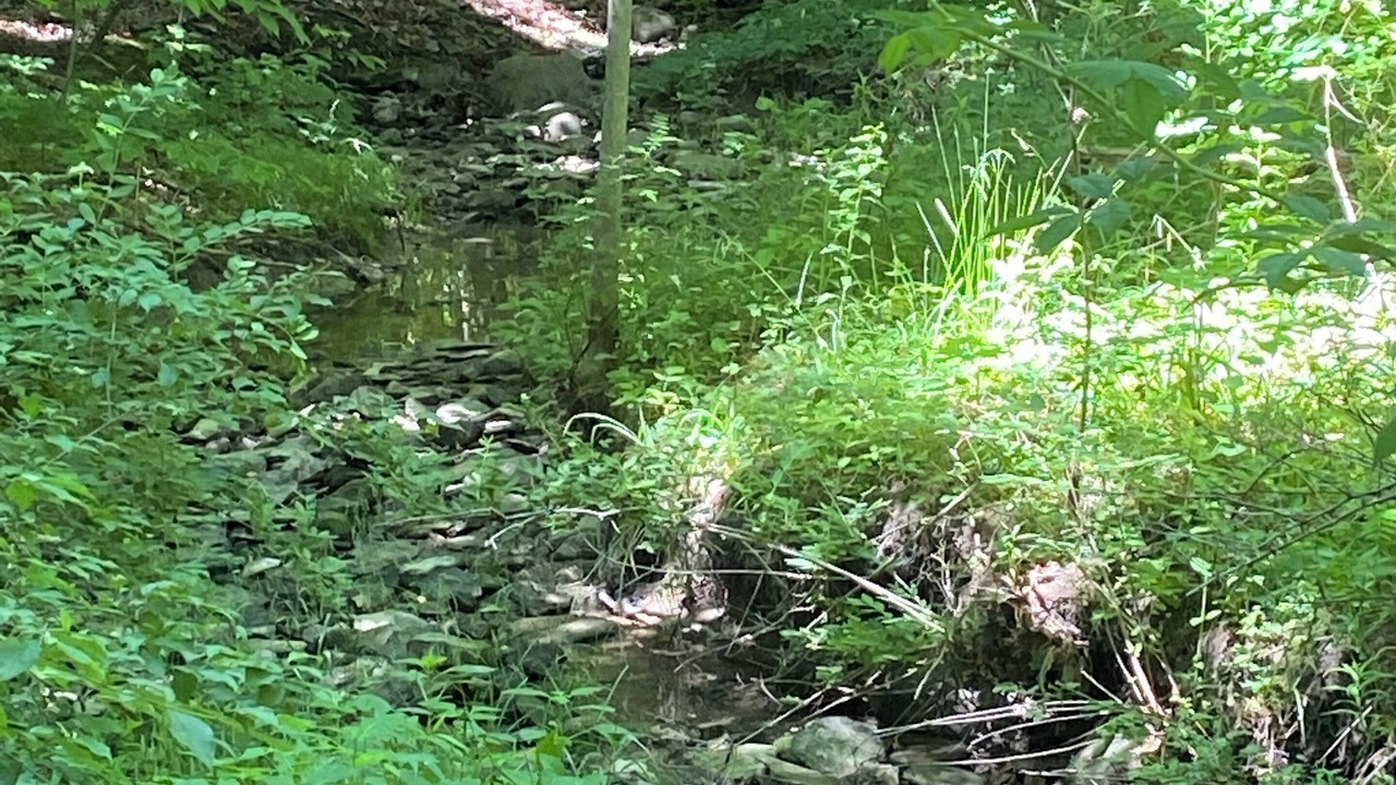 Photo of Others in Town of Hanover