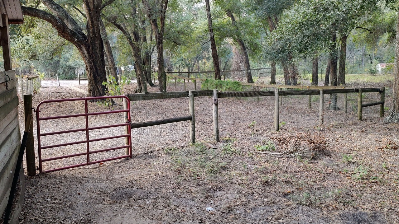 Photo of Outdoor in Silver Springs