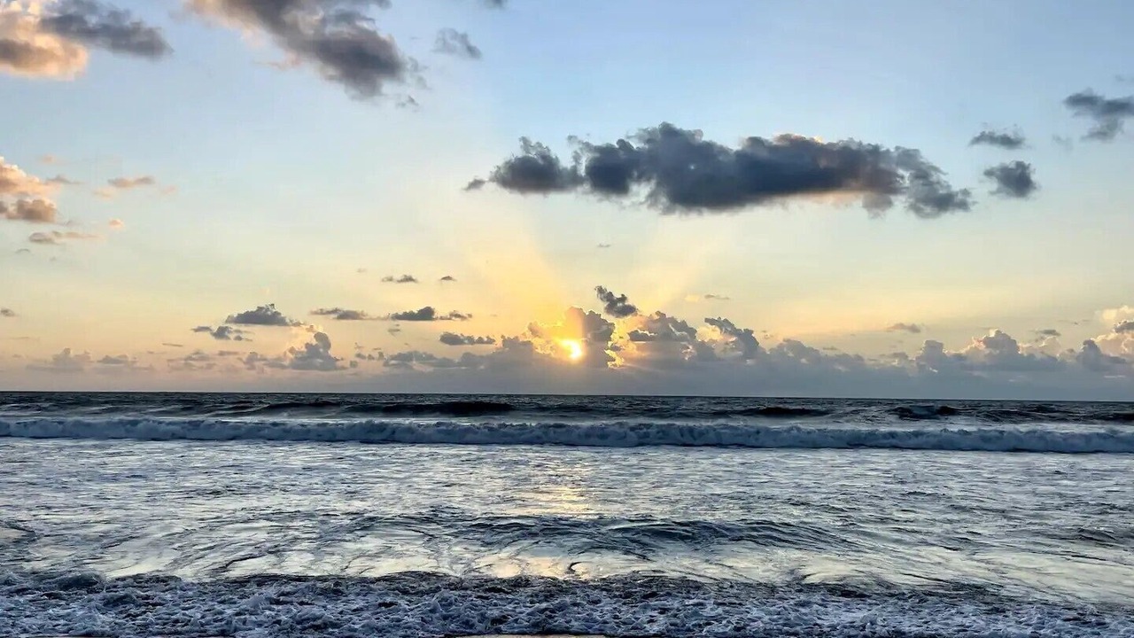 Photo of Others in Cocoa Isles