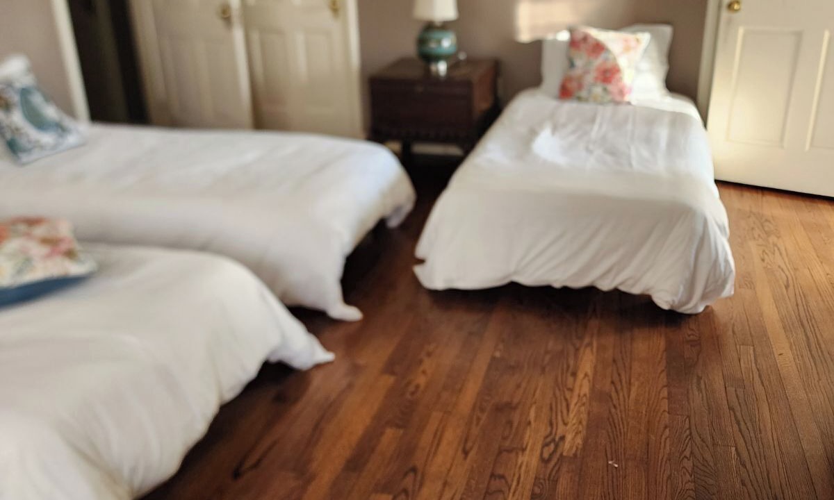 Photo of Bedroom in Forest