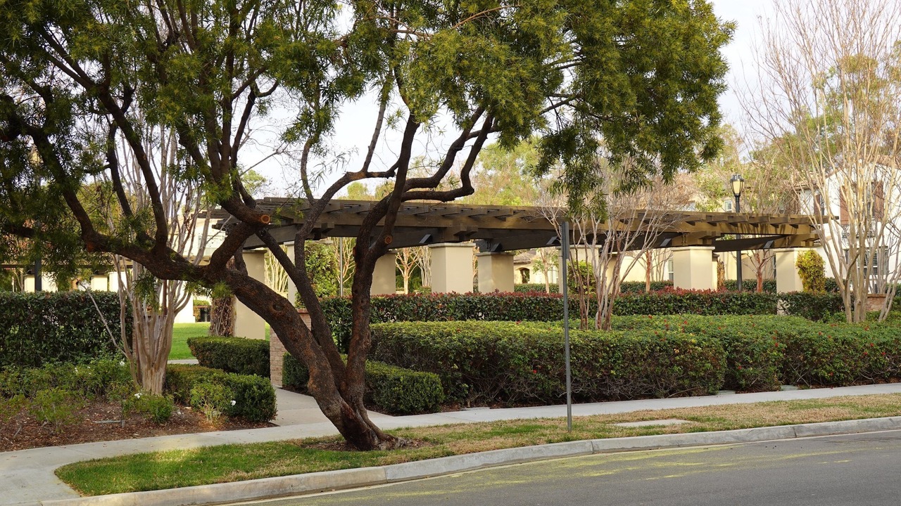 Photo of Outdoor in Irvine