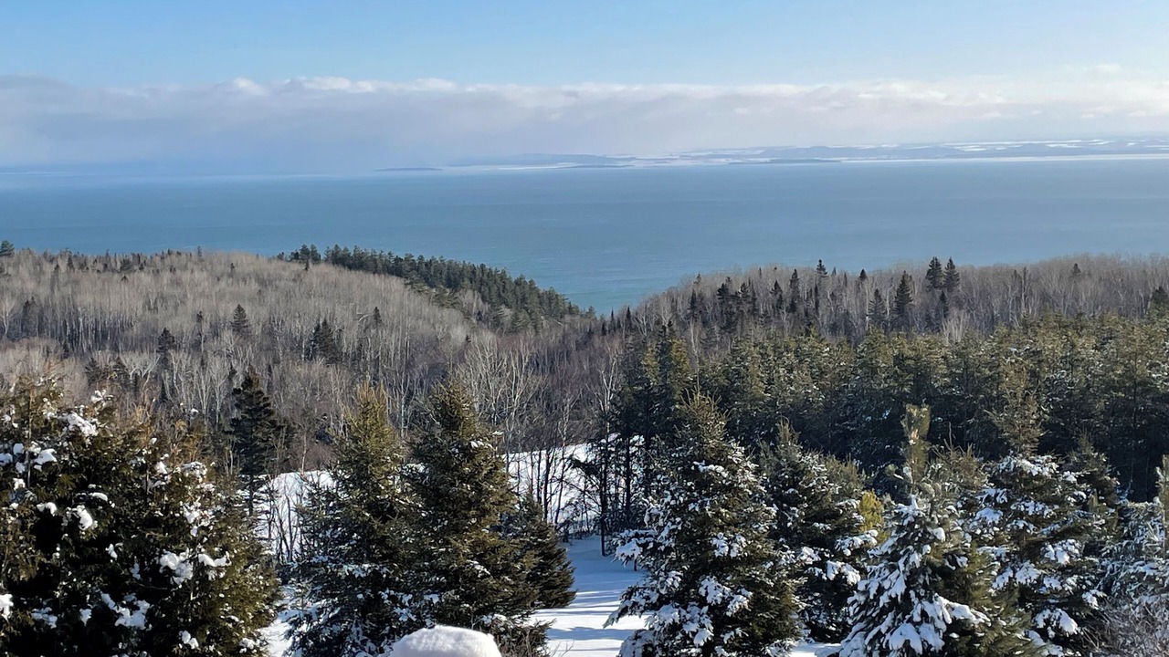 Photo of Others in Pointe-au-Pic