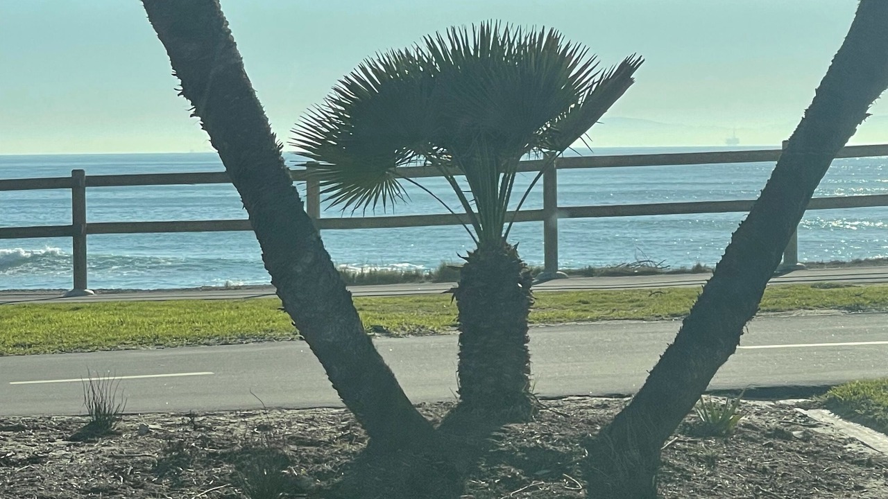 Photo of Others in Huntington Beach