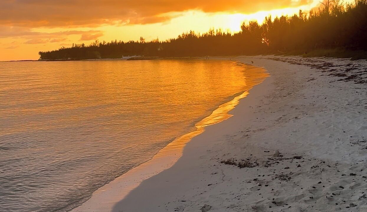 Photo of Others in Bahamia West