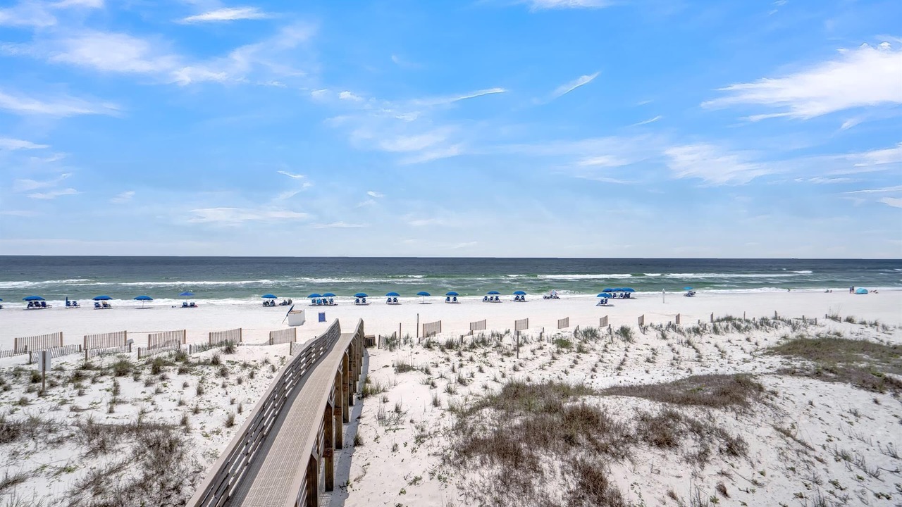 Photo of Others in Orange Beach East