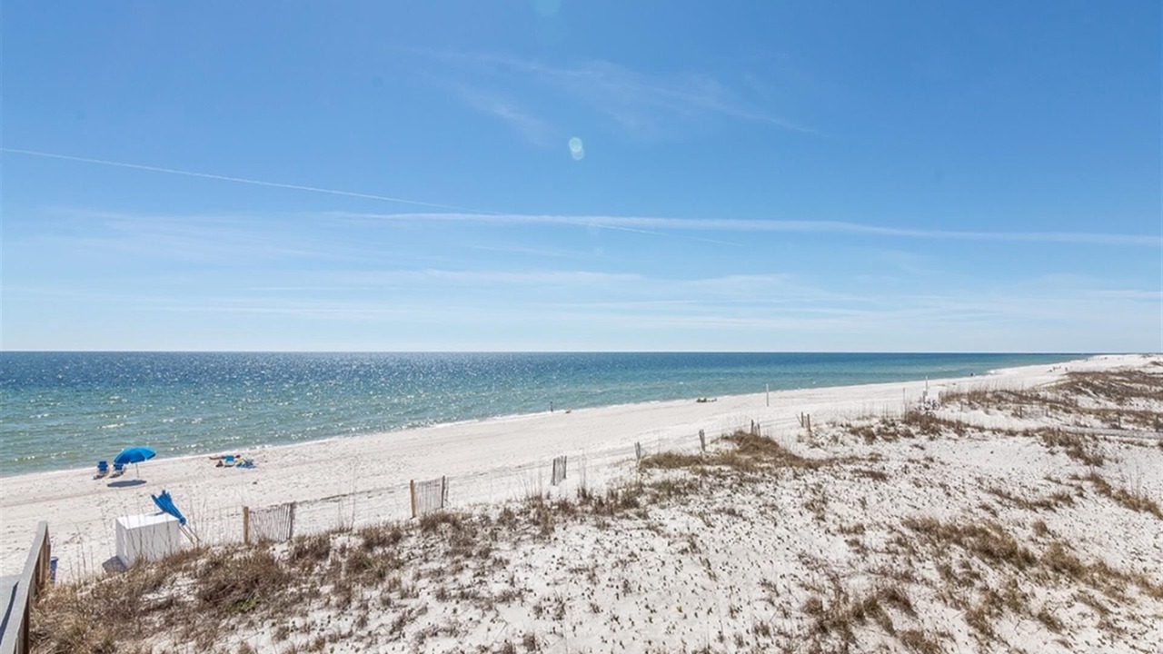 Photo of Others in Orange Beach East