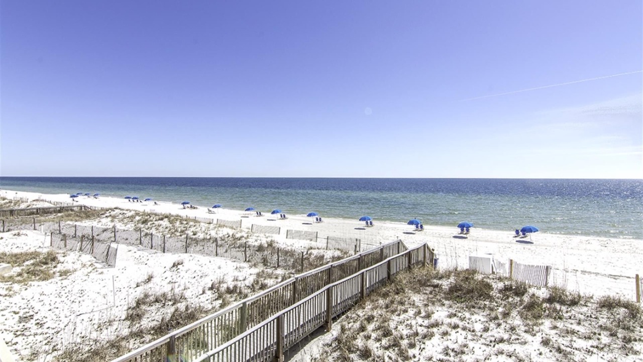 Photo of Others in Orange Beach East