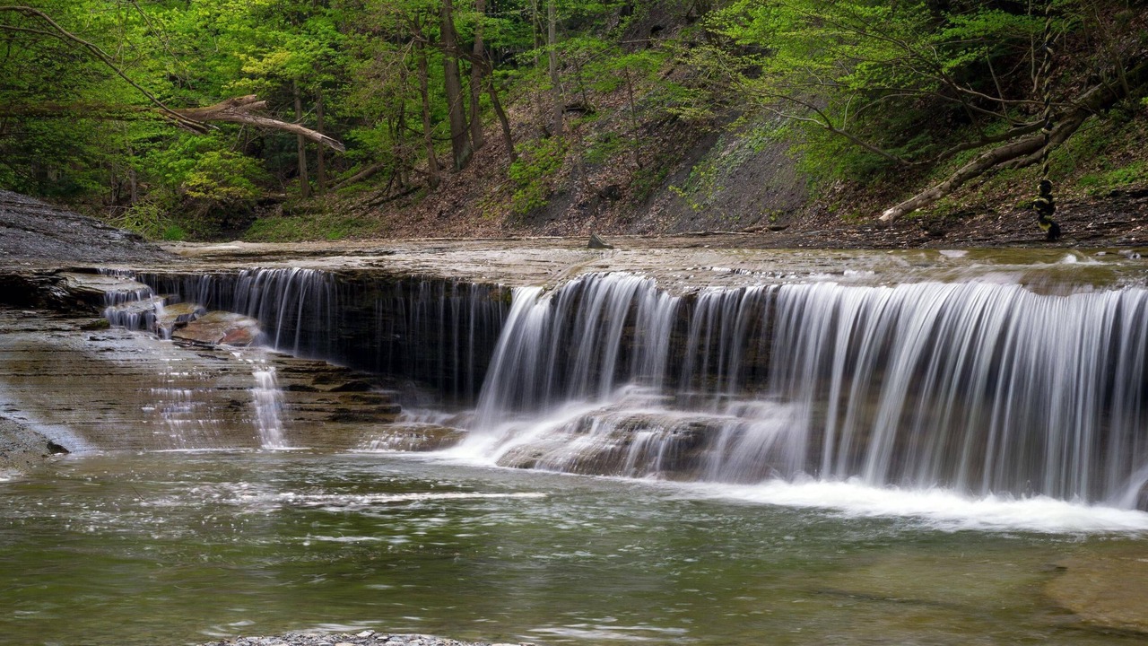 Photo of Others in Erie