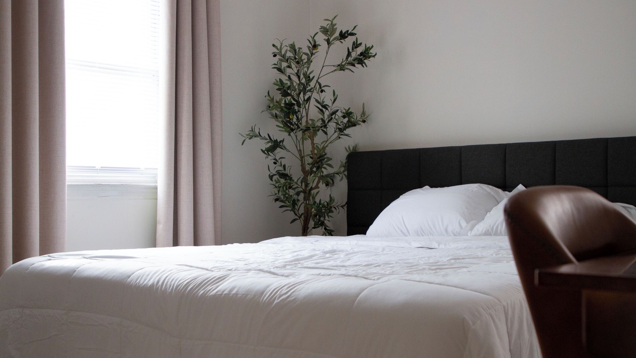 Photo of Bedroom in Northeast Raleigh