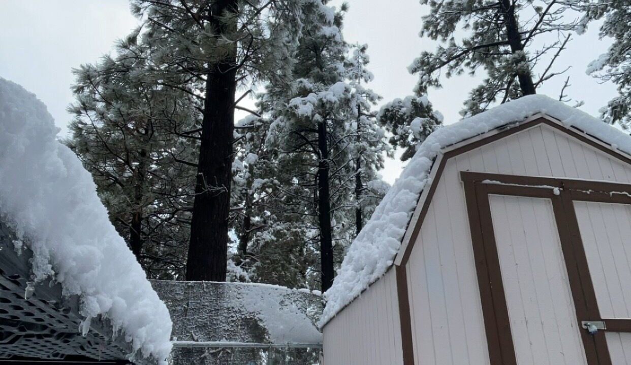 Photo of Outdoor in Woodlands