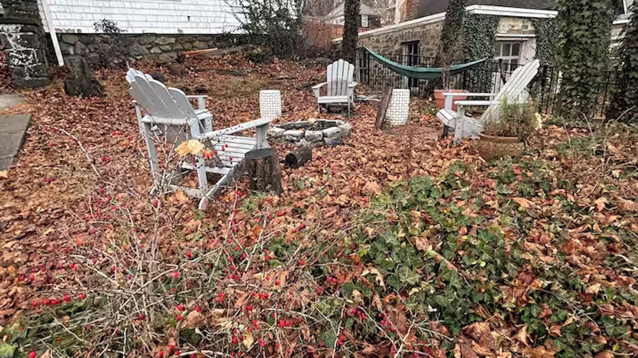 Photo of Outdoor in Peekskill