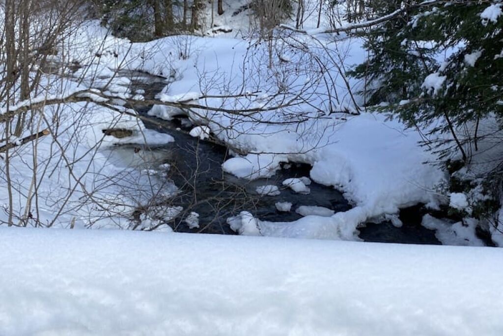 Photo of Others in Saint-Luc-de-Bellechasse