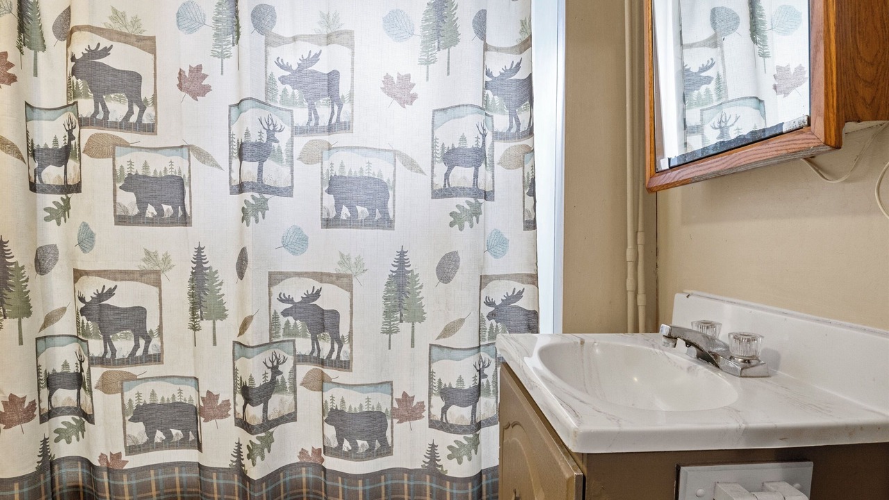 Photo of Bathroom in Geneseo