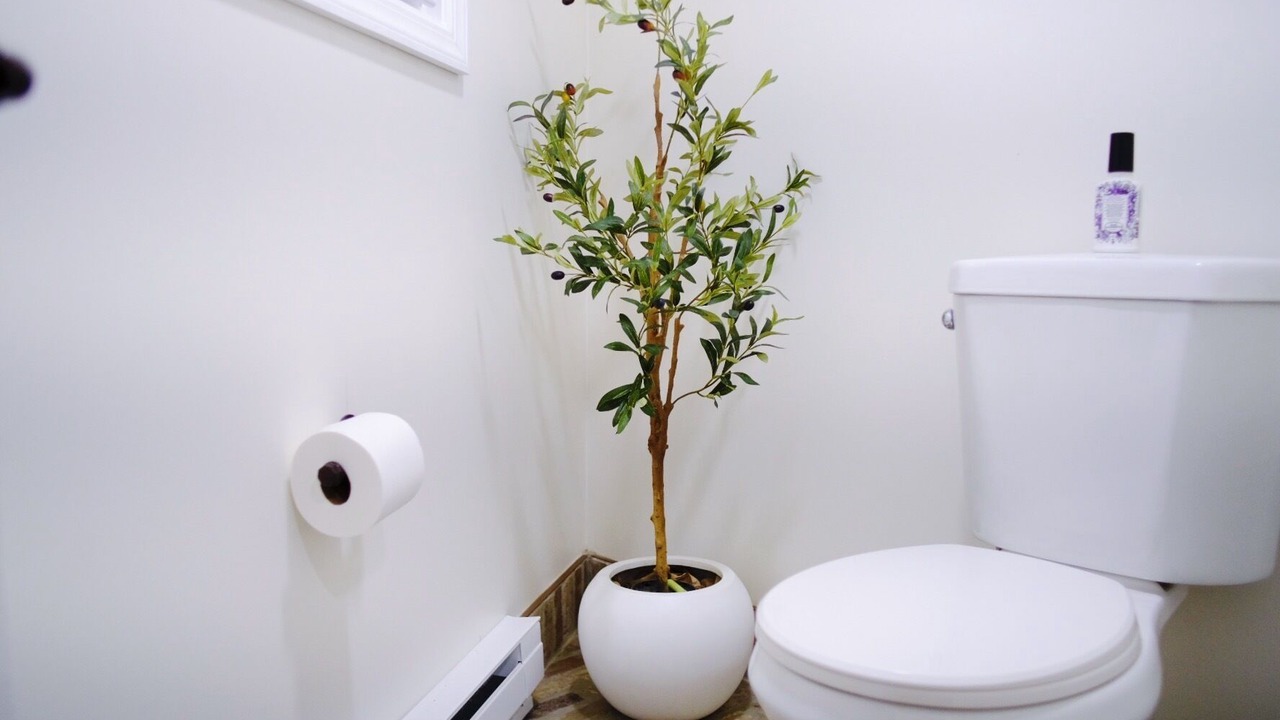 Photo of Bathroom in McGinley Square