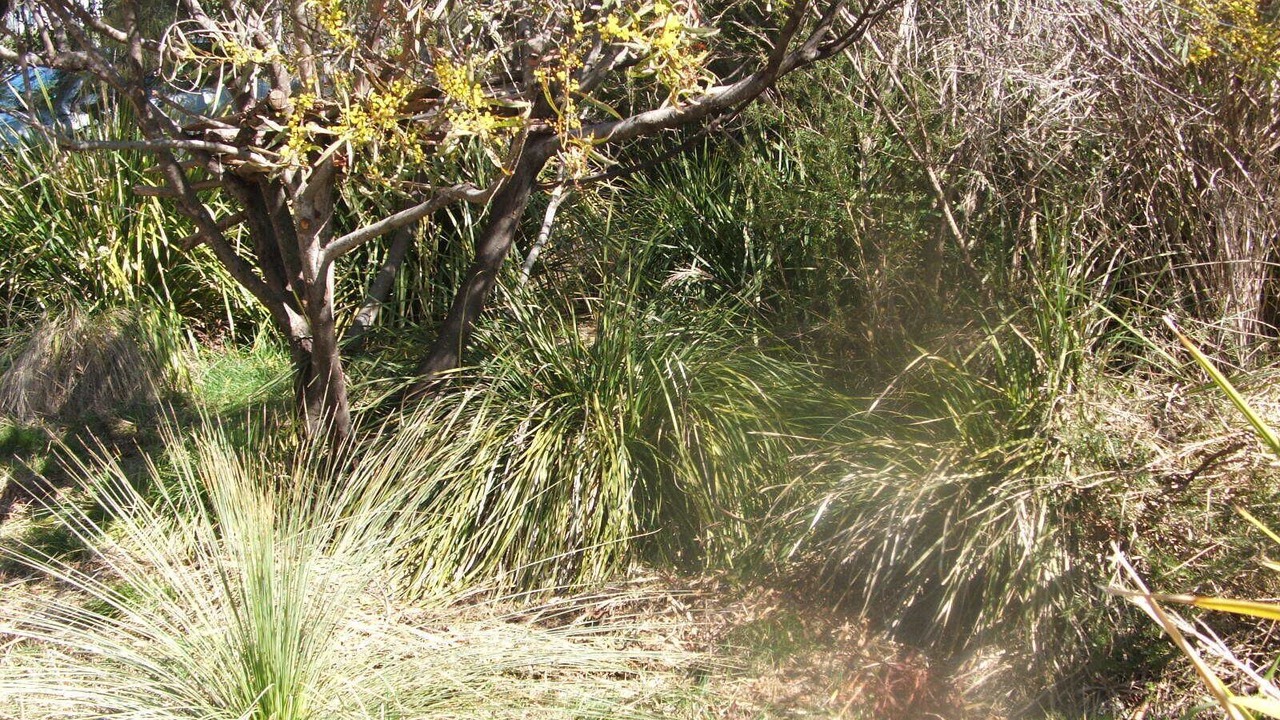 Photo of Others in O'Connor