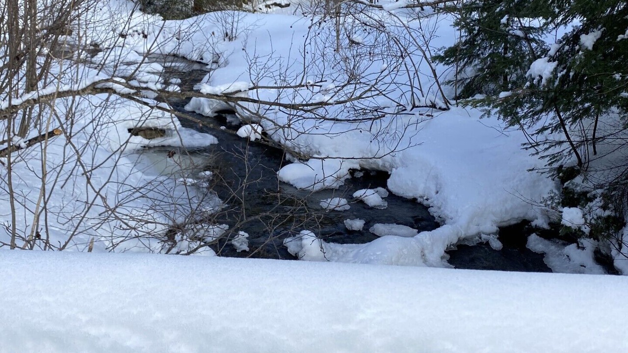 Photo of Others in Saint-Luc-de-Bellechasse