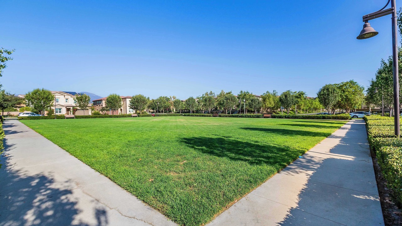 Photo of Outdoor in Lake Forest
