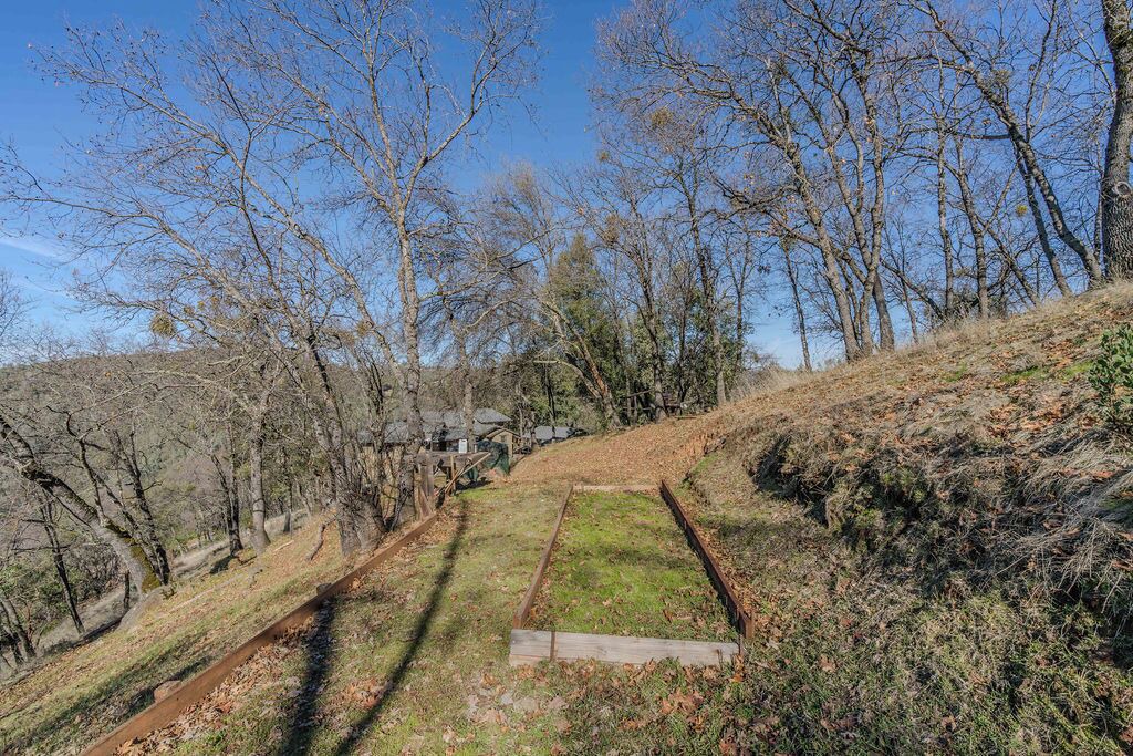 Photo of Others in Sutter Creek