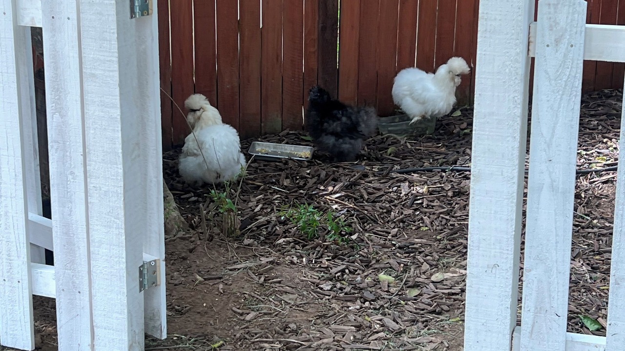 Photo of Others in Southeastern Sacramento