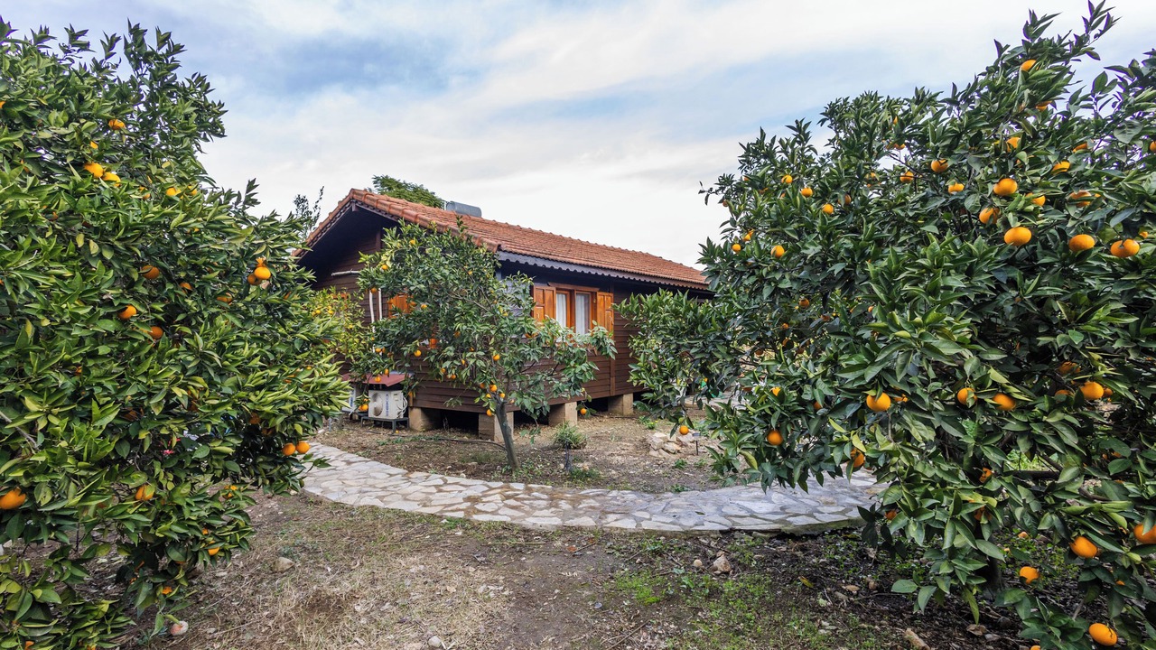 Photo of Outdoor in Cirali