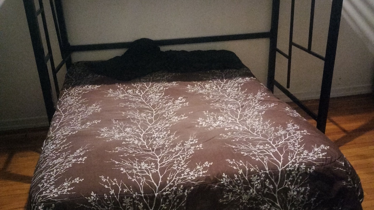 Photo of Bedroom in Williamsbridge