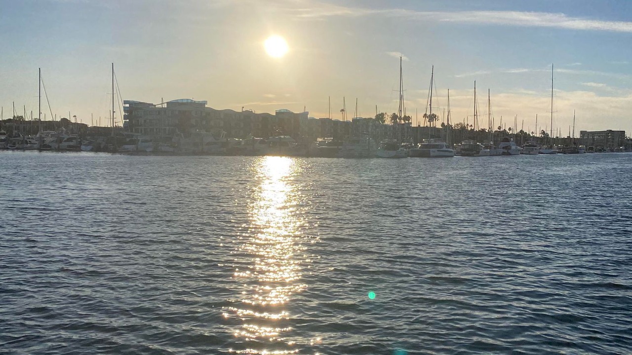 Photo of Others in Marina del Rey