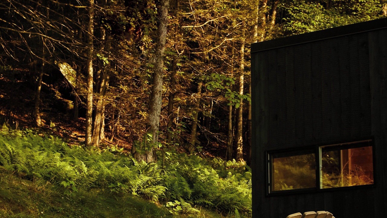 Photo of Outdoor in Running Springs