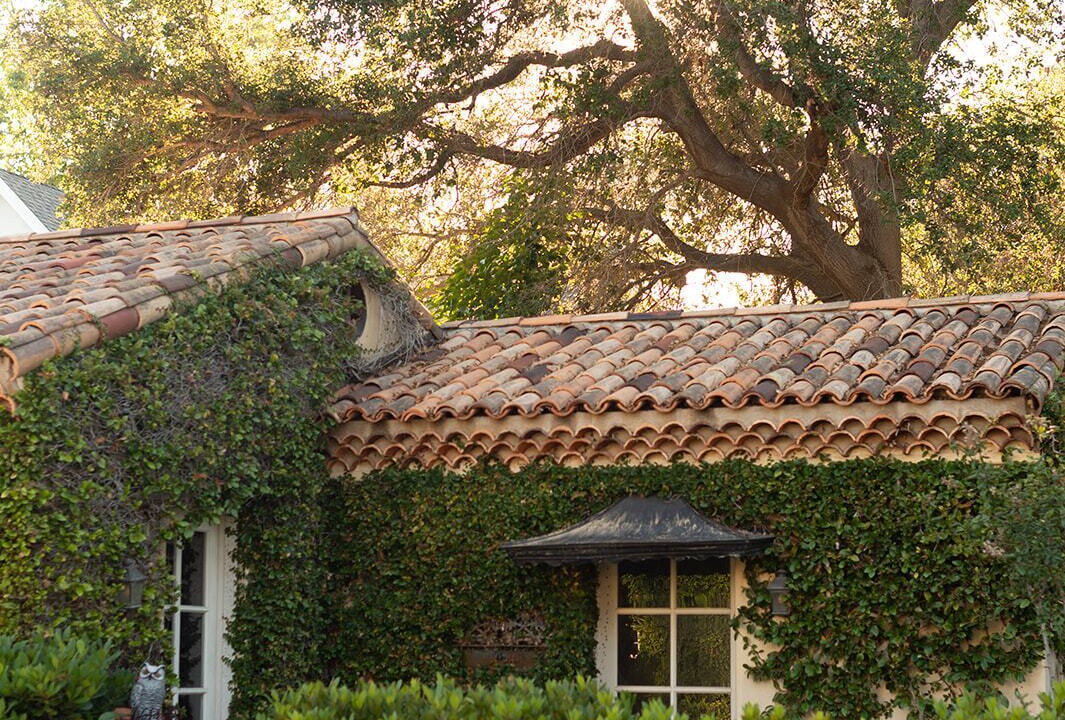 Photo of Outdoor in San Juan Capistrano